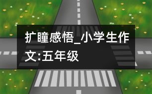 擴瞳感悟_小學(xué)生作文:五年級