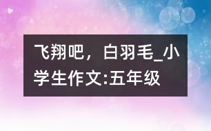 飛翔吧，白羽毛_小學(xué)生作文:五年級(jí)