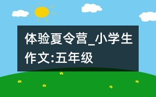 體驗(yàn)夏令營(yíng)_小學(xué)生作文:五年級(jí)