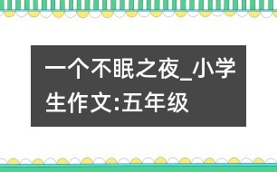 一個(gè)不眠之夜_小學(xué)生作文:五年級(jí)