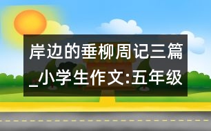 岸邊的垂柳（周記三篇）_小學(xué)生作文:五年級