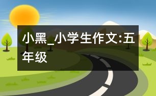 小黑_小學(xué)生作文:五年級