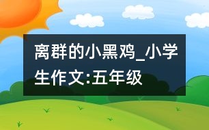 離群的小黑雞_小學(xué)生作文:五年級