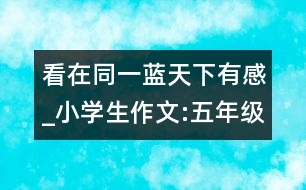 看在同一藍天下有感_小學(xué)生作文:五年級