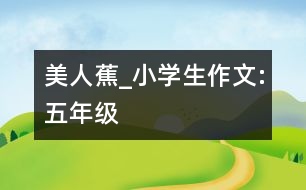 美人蕉_小學生作文:五年級