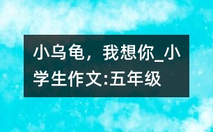 小烏龜，我想你_小學生作文:五年級