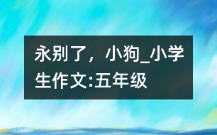 永別了，小狗_小學(xué)生作文:五年級