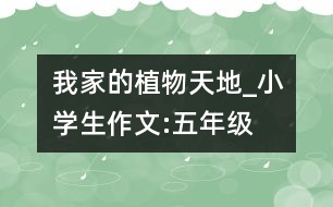 我家的植物天地_小學生作文:五年級