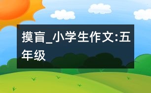 摸盲_小學(xué)生作文:五年級(jí)