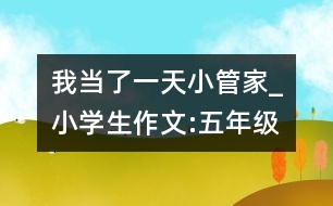 我當(dāng)了一天小管家_小學(xué)生作文:五年級(jí)