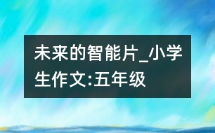 未來(lái)的智能片_小學(xué)生作文:五年級(jí)