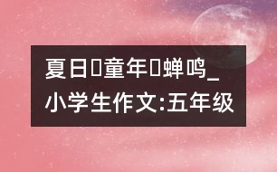 夏日?童年?蟬鳴_小學(xué)生作文:五年級