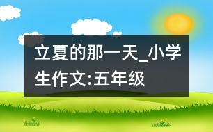 立夏的那一天_小學(xué)生作文:五年級(jí)