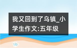 我又回到了烏鎮(zhèn)_小學(xué)生作文:五年級