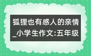 狐貍也有感人的親情_小學(xué)生作文:五年級(jí)