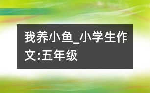 我養(yǎng)小魚_小學(xué)生作文:五年級(jí)