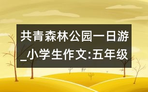 共青森林公園一日游_小學(xué)生作文:五年級