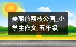 美麗的荔枝公園_小學生作文:五年級