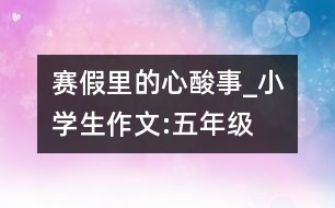 賽假里的心酸事_小學(xué)生作文:五年級(jí)