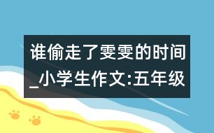 誰(shuí)偷走了雯雯的時(shí)間_小學(xué)生作文:五年級(jí)