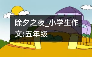 除夕之夜_小學(xué)生作文:五年級