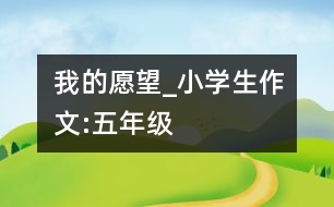 我的愿望_小學(xué)生作文:五年級(jí)