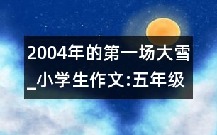 2004年的第一場大雪_小學生作文:五年級