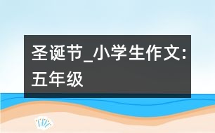 圣誕節(jié)_小學(xué)生作文:五年級