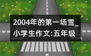 2004年的第一場雪_小學(xué)生作文:五年級(jí)