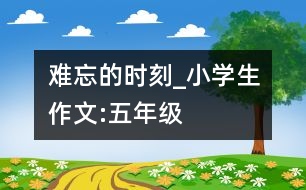 難忘的時(shí)刻_小學(xué)生作文:五年級