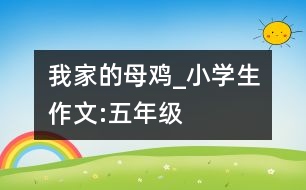 我家的母雞_小學生作文:五年級