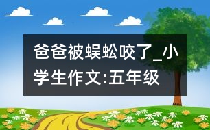 爸爸被蜈蚣咬了_小學生作文:五年級