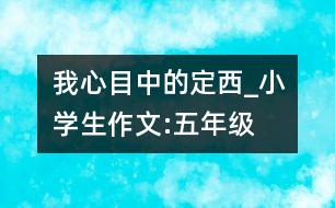 我心目中的定西_小學(xué)生作文:五年級(jí)