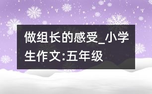 做組長(zhǎng)的感受_小學(xué)生作文:五年級(jí)