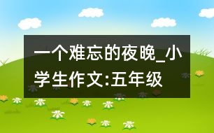 一個(gè)難忘的夜晚_小學(xué)生作文:五年級(jí)