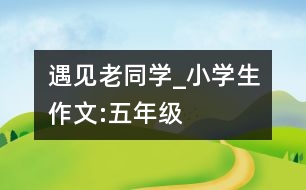 遇見老同學(xué)_小學(xué)生作文:五年級