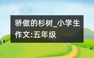 驕傲的杉樹_小學(xué)生作文:五年級(jí)