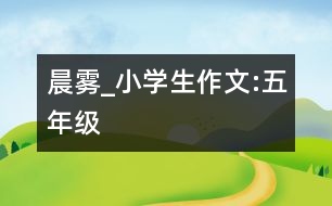 晨霧_小學(xué)生作文:五年級