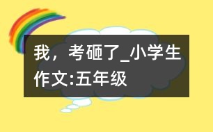 我，考砸了_小學(xué)生作文:五年級