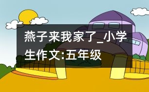 燕子來我家了_小學(xué)生作文:五年級