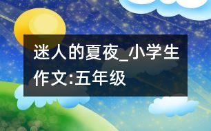 迷人的夏夜_小學(xué)生作文:五年級(jí)