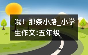 哦！那條小路_小學(xué)生作文:五年級