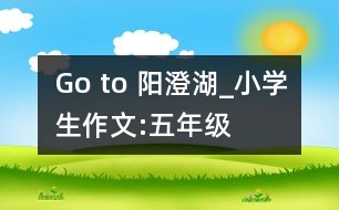 Go to 陽澄湖_小學(xué)生作文:五年級(jí)