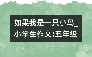 如果我是一只小鳥_小學生作文:五年級