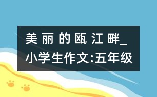 美 麗 的 甌 江 畔_小學生作文:五年級