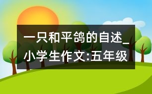 一只和平鴿的自述_小學生作文:五年級