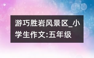 游巧勝巖風景區(qū)_小學生作文:五年級