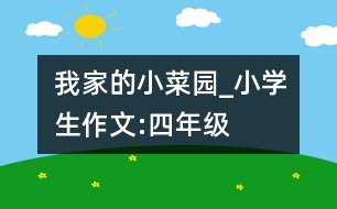 我家的小菜園_小學生作文:四年級