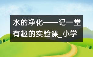 水的凈化――記一堂有趣的實驗課_小學生作文:四年級