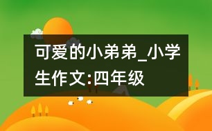 可愛的小弟弟_小學生作文:四年級